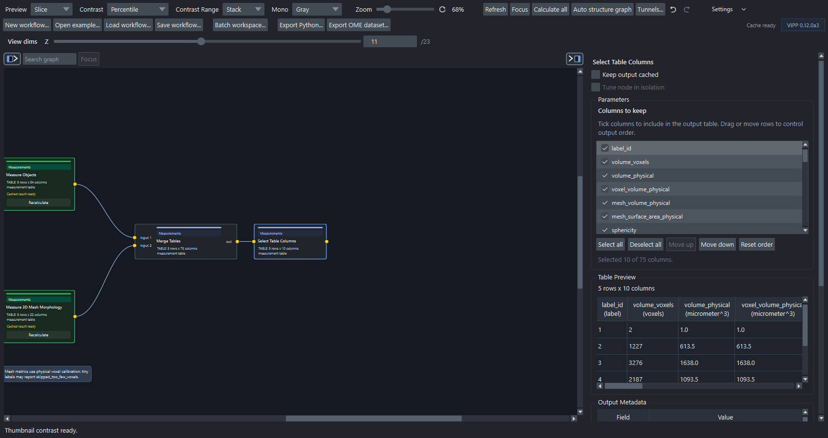 An undocked VIPP mesh-morphology workflow with calculated measurement branches and a selected ten-column table