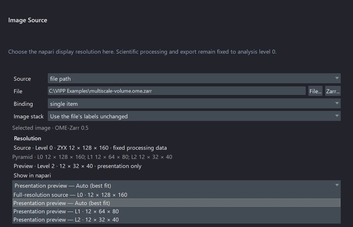 The Image Source Resolution controls with analysis level 0, automatic presentation preview, and two explicit lower pyramid levels